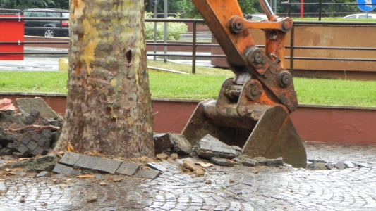 Rimozione tronco dal terreno